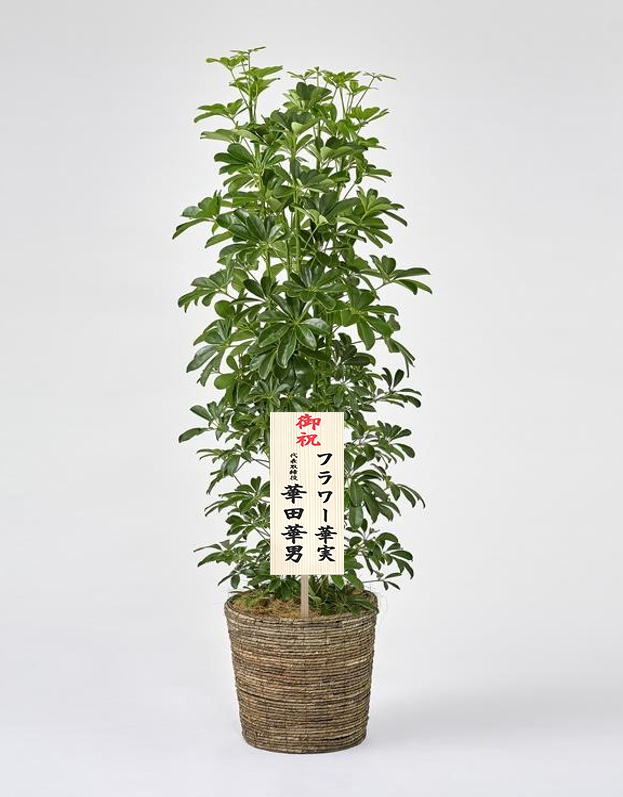 観葉植物木札